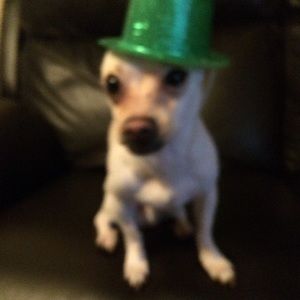 Meet your Posher, Anthony